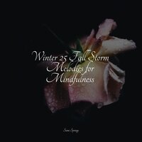 Ocean, Jetty, Small, Light Metal - Sample Rain Library & Namaste Yoga & Sonido de lluvia