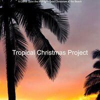 Christmas in Paradise Ding Dong Merrily on High - Tropical Christmas Project