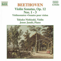 Violin Sonata No. 1 in D Major, Op. 12 No. 1: Violin Sonata No. 1 in D Major, Op. 12, No. 1: I. Allegro con brio - Takako Nishizaki & Jeno Jando & Ludwig van Beethoven