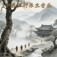 五行养生音乐·舒缓情绪 - 音眠治愈所