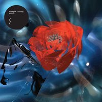 Do It - Teengirl Fantasy & Romanthony