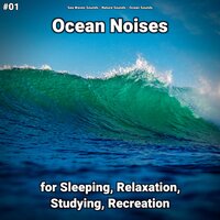 Ocean Noises Pt. 70 - Sea Waves Sounds & Nature Sounds & Ocean Sounds