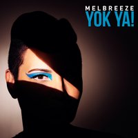 Vay Hayvan Vay! - Melbreeze & Arto Tuncboyaciyan & Jimmy Haslip & Scott Kinsey & Selim Bölükbaşı & Gergő Borlai