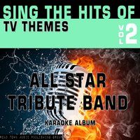 The Brady Bunch - All Star Tribute Band
