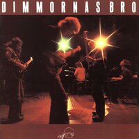 Nånting sällsamt - Dimmornas Bro