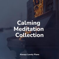 Warming Peace - Baby Sleep Through the Night & Piano Tranquil & Piano para Dormir