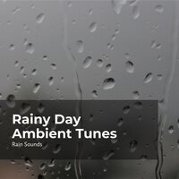 Teeming Rain in Tune - Rain Sounds & Natural Rain Sounds for Sleeping & Rain Storm Sample Library