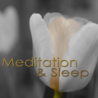 Instrumentals - Asian Meditation Music Collective