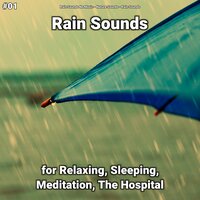 Calming Down Rain Sounds - Rain Sounds No Music & Nature Sounds & Rain Sounds