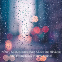 Calm Rain Sounds - The Rain Library & Epic Soundscapes & Binaural Landscapes
