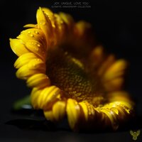 Exist in My Life - N1T30wl