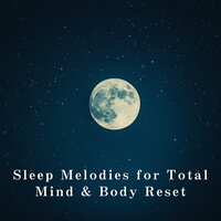 Soothing Echoes of Comfort - Relaxing Bgm Project
