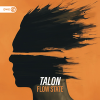 Flow State - Talon & Dirty Workz