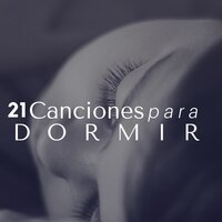 Preocupación y Estrés - Sueño Real