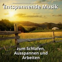 Bedächtige Nacht - Entspannungsmusik für tiefen Schlaf & Schlafmusik & Entspannungsmusik