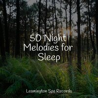 White Noise - Meditation & Deep Sleep Systems & Natural Sounds