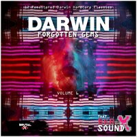 Don't Hesitate - Al Storm & Darwin