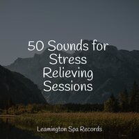 Lazy Morning - Sampling XL & Meditation Rain Sounds & Nature & Sounds Backgrounds