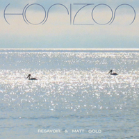 Zero Gravity - Resavoir & Matt Gold