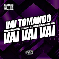Vai Tomando Vai Vai Vai - Mc Guuh o pixadão & Arrochadeira dos FLuxos & DJ Carlos MT