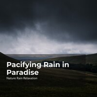 Songbirds During Rain - Rain Recorders & Rainfall & Nature Rain Relaxation