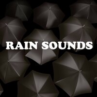 Rain Sounds - Wet Journey - Wp Sounds