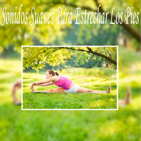 Largo Camino - Sonidos suaves