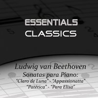 Piano Sonata No. 14 In C Sharp-Minor, Op. 27 No. 2, "Moonlight": II. Allegretto - Ludwig van Beethoven & Dubravka Tomsic