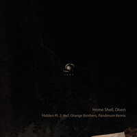Hidden - Home Shell & Olven & Orange Brothers