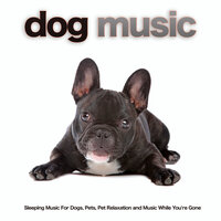 Music for Pets and Animals - Dog Music & Sleeping Music For Dogs & Music for Dog's Ears