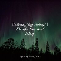 Release of Peace - Wellness & Mindfulness Mediation World & Lullaby Babies
