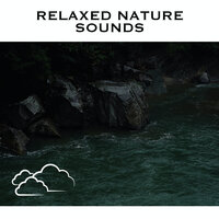 Gentle Stream - Loopable - White Noise Radiance & River Noise & Relaxed Nature Music