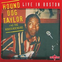 Give Me Back My Wig - Live - Hound Dog Taylor