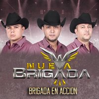 Dias Nublados - Nueva Brigada