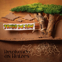 Fardo Pesado - Tribo De Jah