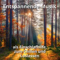 Besinnliche Energie - Entspannungsmusik Elfi Niel & Schlafmusik & Entspannungsmusik