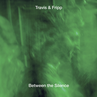 In A Field Of Green - Theo Travis & Robert Fripp
