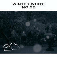 Winter Snow Storm - No Fade - Winter Background & Storm Background & Serene Rose