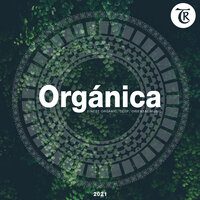 Light - Jose Solano