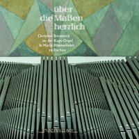 Sechs Choräle von verschiedener Art, BWV 650: No. 6, Kommst du nun, Jesu, vom Himmel herunter - Christian Brembeck & Johann Sebastian Bach