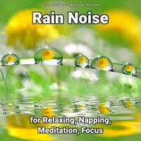 Genial Water - Nature Sounds & Rain Sounds & Rain Sounds to Sleep To