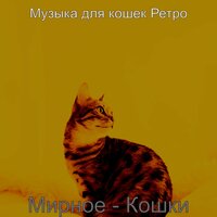 Созерцая (Расслабляющие кошки) - Музыка для кошек Ретро