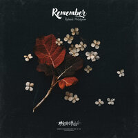 Remember - Redmask Melodyman