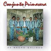 Olvidando El Pasado - Conjunto Primavera