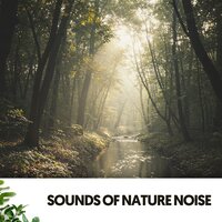 Plácido Anochecer - Solfeggio Frequencies 528Hz & The Nature Soundscapes & Rain Sounds ACE