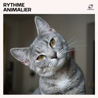 Écureuil Veille - Les Animaux & Musique Relaxante pour Animaux de Compagnie & Musique Apaisante Chats & Musique Apaisante Chiens
