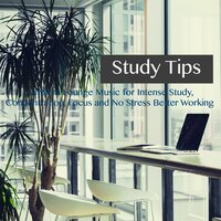 Office Music Detox - Relaxing Workday Music - Exam Study Music Chillout