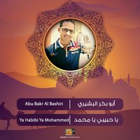 يا رب يا رزاق - أبو بكر البشيري