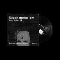 Distorted Noises - Tripple Motion (BE)