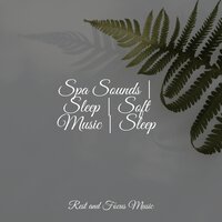 Lazy Sunset - Sleep Songs 101 & Massage & Zarobi